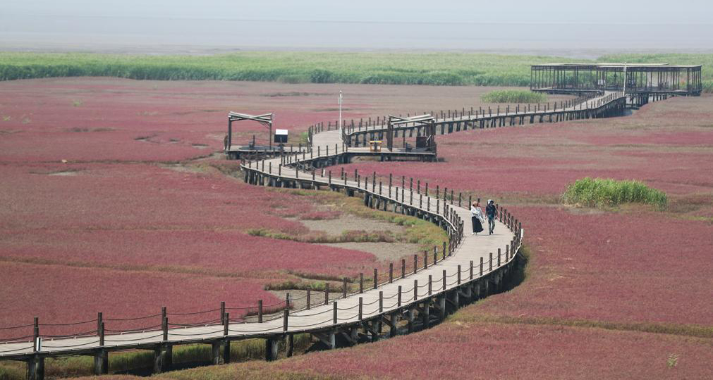 夏游红海滩